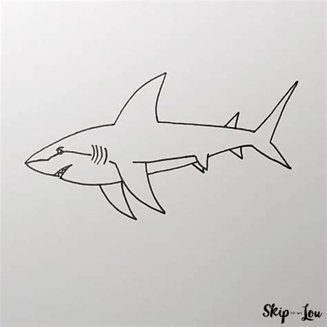 How To Draw A Shark Step By Step