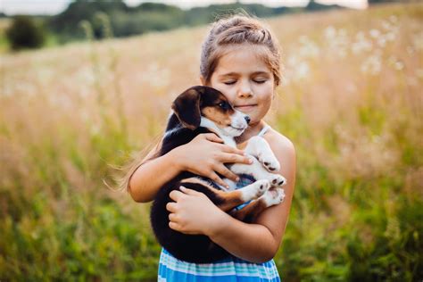 Amor a los Animales