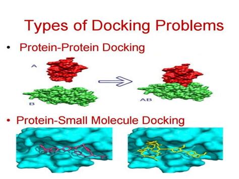 Basics Of Molecular Docking