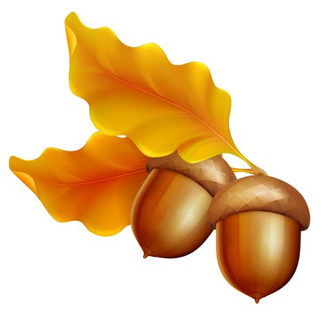 Acorn Leaf Oak Clip Art Transparent Background Fall Clip Art Hd Png ...