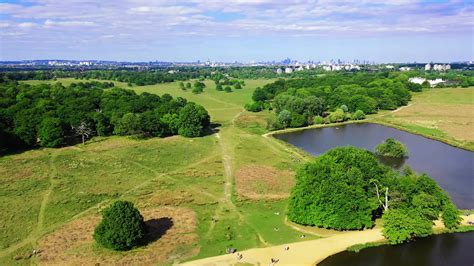 Richmond Park - Drone Footage - 4K - YouTube