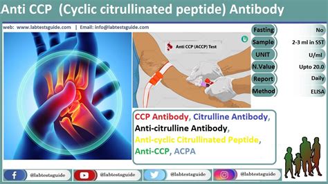 Anti-CCP Purpose, Procedure, Result And More | Lab Tests Guide