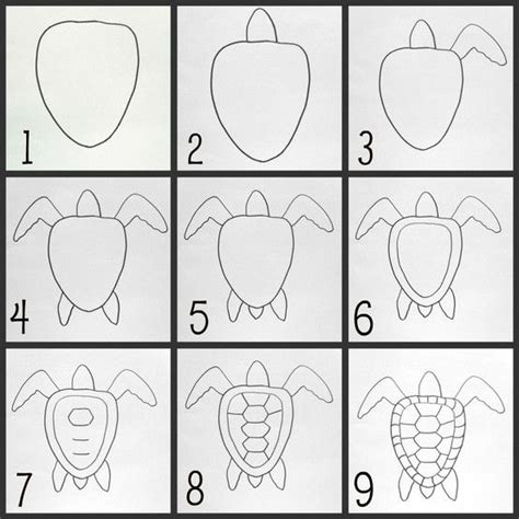 How to draw a turtle! :D | Turtle drawing, Turtle art, Drawings