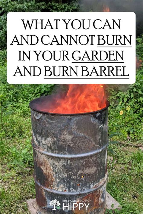 What Can You Burn in a Burn Barrel? 5 Things That Are Safe