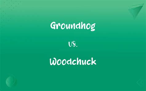 Groundhog vs. Woodchuck: What’s the Difference?