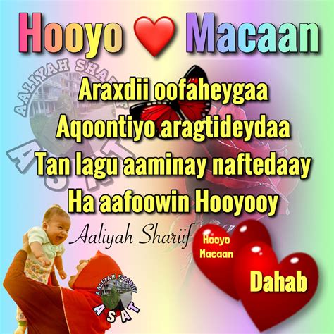 Hooyo Macaan | Dahab, Save, Quick