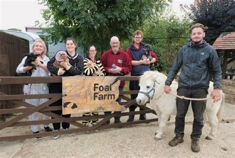 Foal Farm Animal Rescue Centre — South East London Meccano Club