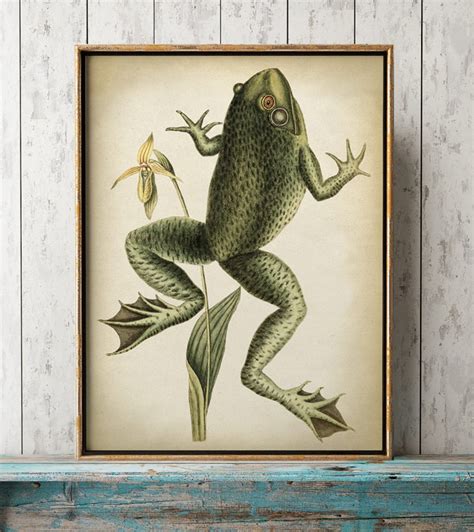 FROG Print, Green Frog Poster, Amphibian Poster, Frog Illustration ...