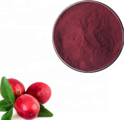 Cranberry Extract Proanthocyanidins - Proanthocyanidins Cranberry - undersun