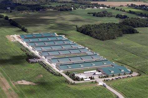 Investigation: Largest Factory Farms Producing USDA Certified “Organic” Milk and Eggs