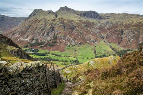 Lingmoor Fell walk - Elterwater walk - Langdale walks - Lake District walks