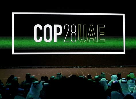 Top nature and climate news: COP28 disaster fund launches | World Economic Forum