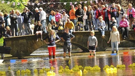 Flying squad call halt to Cotswolds duck race | News | The Times