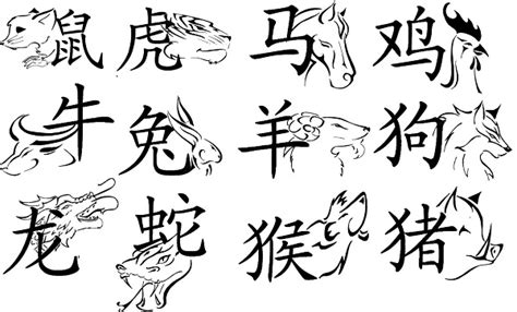 The 12 Animals of the Chinese Zodiac | Mandarin House