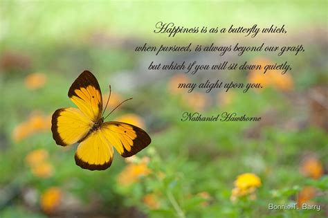 "Happiness is like a butterfly . . ." by Bonnie T. Barry | Redbubble