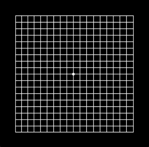 Amsler Grid - Glaucoma & Cataract, Prof. Eytan Blumenthal