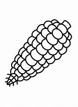 Corn Coloring Pages Printable Stalk Popcorn Vegetables Drawing Stalks  sketch template