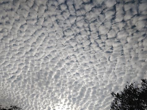 Altocumulus cloud : r/pics