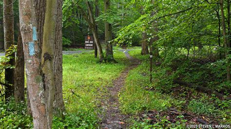 Catoctin Mountain Park | ORANGE TRAIL SOUTH LOOP HIKE