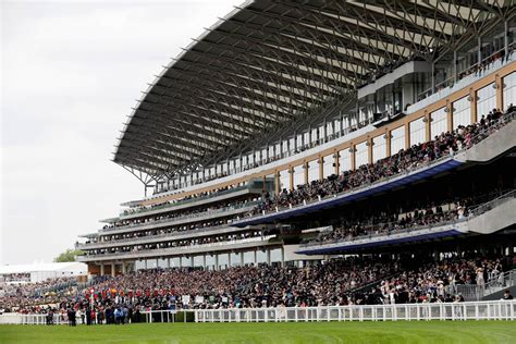 Horse Races & Events | Contact Us | Ascot Racecourse