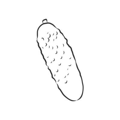 Pickle Outline Vector Art, Icons, and Graphics for Free Download