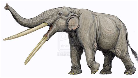 Stegotetrabelodon | Ancient animals, Extinct animals, Prehistoric wildlife