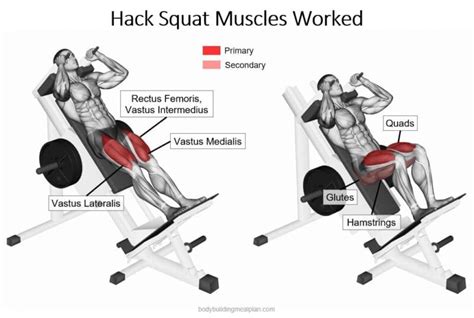 How to Do Hack Squats: Foot Placement & Proper Form