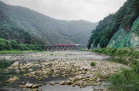 Riding the V-Train in Korea » Greg Goodman: Photographic Storytelling