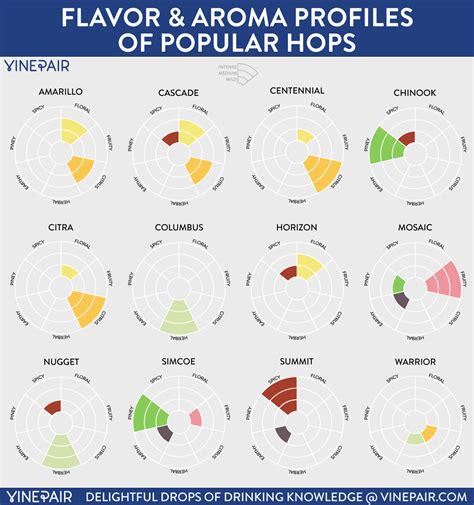 The Flavors & Aromas In Craft Beer's Popular Hops [INFOGRAPHIC] | VinePair