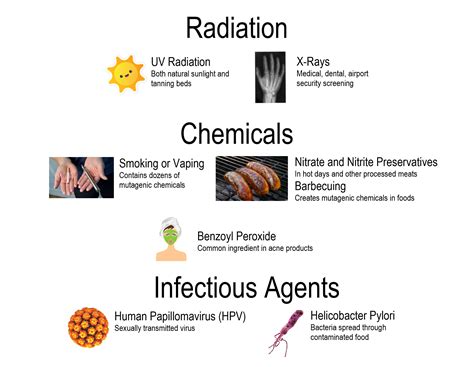 5.8 Mutations – Human Biology