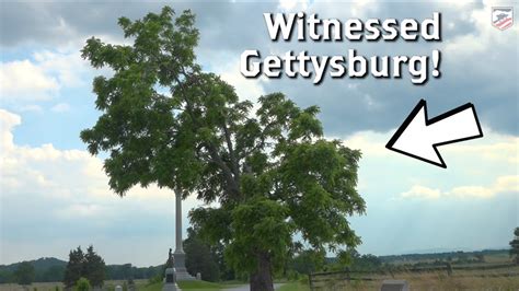 A Tree that Witnessed Gettysburg: Cemetery Ridge - YouTube