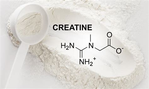 Creatine for Muscle Growth (Review W/ Per Day Dosage) by Horizon ...