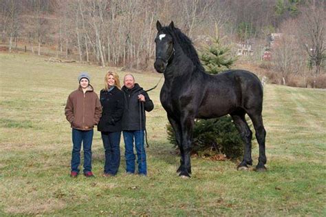 These Animals Are The Largest Of Their Kind… And I Won’t Sleep For A ...