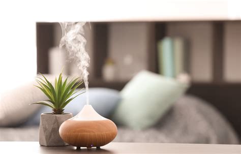 How to Choose the Best Room Scent: The Aromatic Guide - Finding Farina