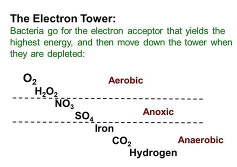 Aerobic, facultative anaerobe, & anaerobic organisms in wastewater ...