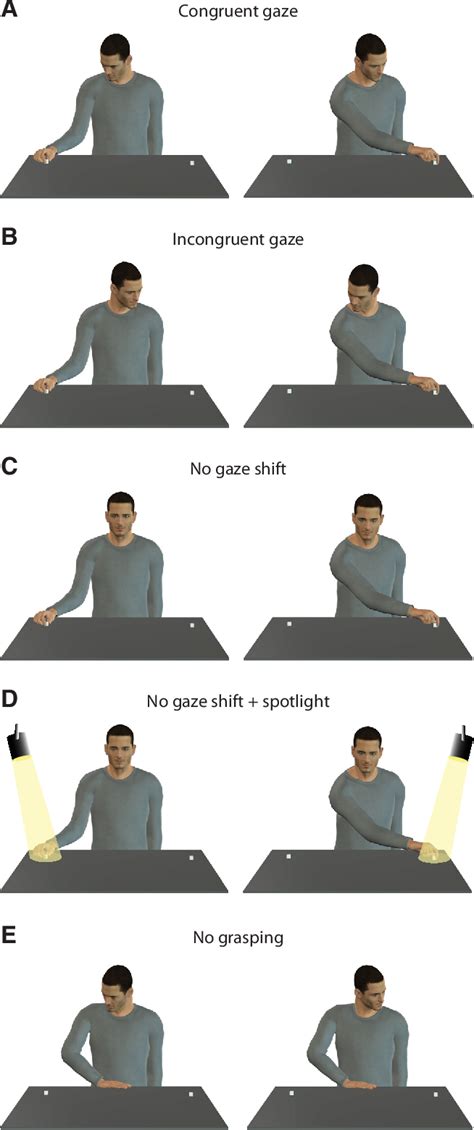 Figure 2 from Mirror Neurons of Ventral Premotor Cortex Are Modulated ...