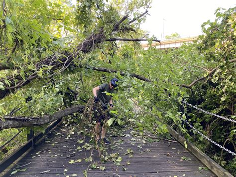 PHOTOS: Storm damage across Virginia | WRIC ABC 8News