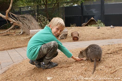 Adelaide Zoo | The Nomadic Explorers | Australian Travel Blog