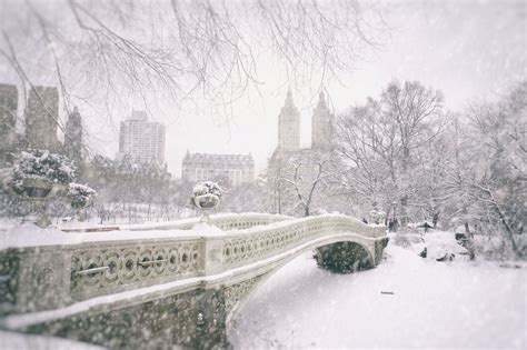 Central Park Snow - Tumblr Gallery