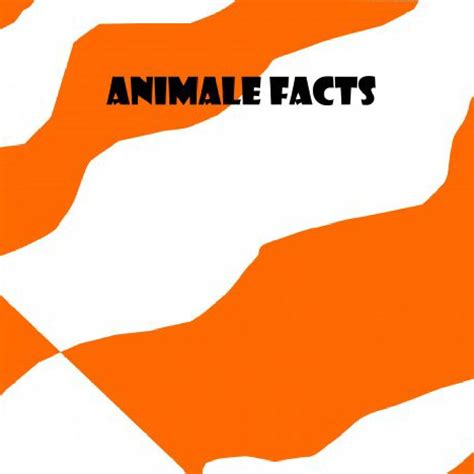 ANIMAL FACTS | Book 702184