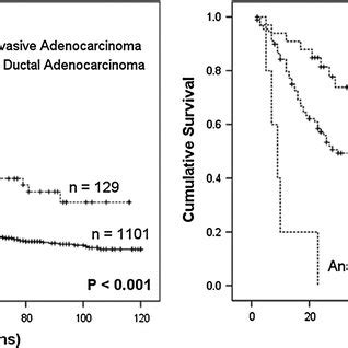 IPMN-associated pancreatic cancers tend to have a better prognosis ...