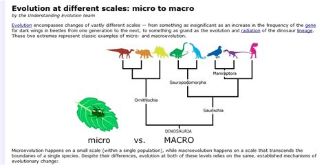 Macro vs microevolution | DragonflyIssuesInEvolution13 Wiki | Fandom