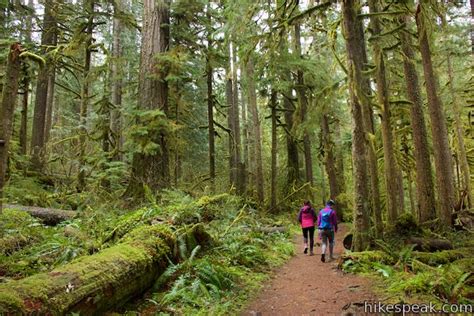 Old Salmon River Trail | Welches | Oregon | Hikespeak.com