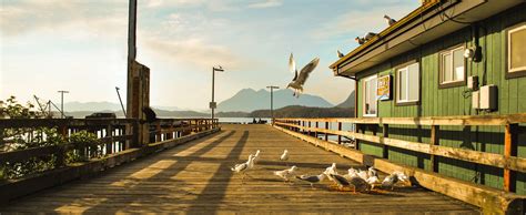 12-Day Vancouver Island Wildlife Self-Drive Tour | 10Adventures