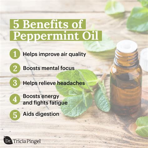 peppermint oil benefits - Google Search | Peppermint oil benefits, Peppermint, Peppermint tea ...