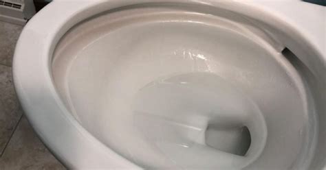 Slow Draining Toilet? Here is How to Fix It Quickly - Toilet Haven