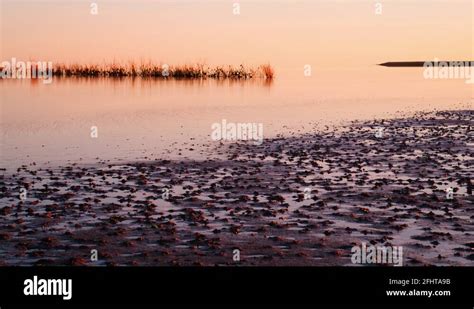 Tidal flood Stock Videos & Footage - HD and 4K Video Clips - Alamy