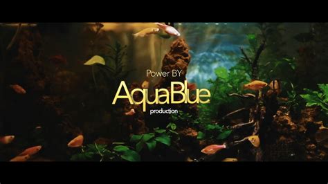 AQUARIUM WITH RELAXATION MUSIC - YouTube