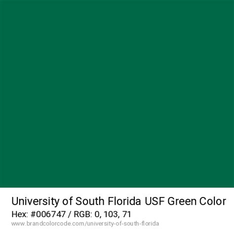 University of South Florida Brand Color Codes » BrandColorCode.com