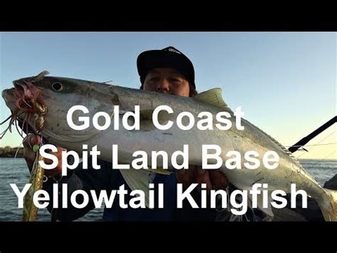 Gold Coast Spit Land Base Yellowtail Kingfish Rocky D Fishing Vol.85 ...